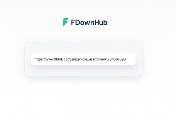 Paste the copied TikTok link into FDownHub